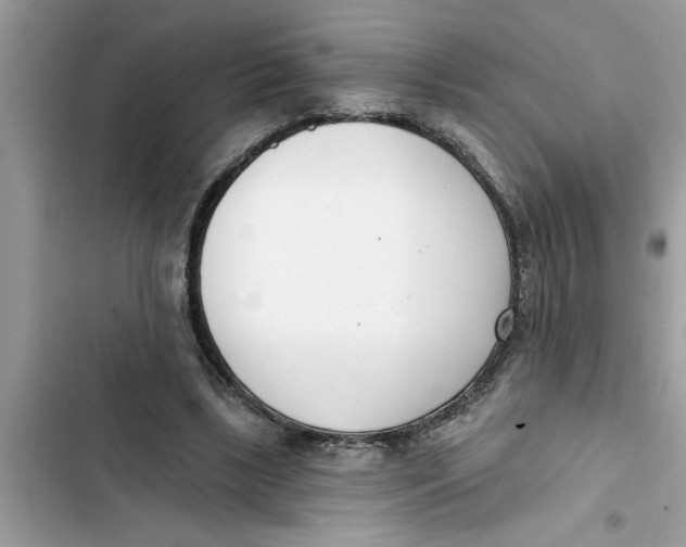 X0000103260443200809191722