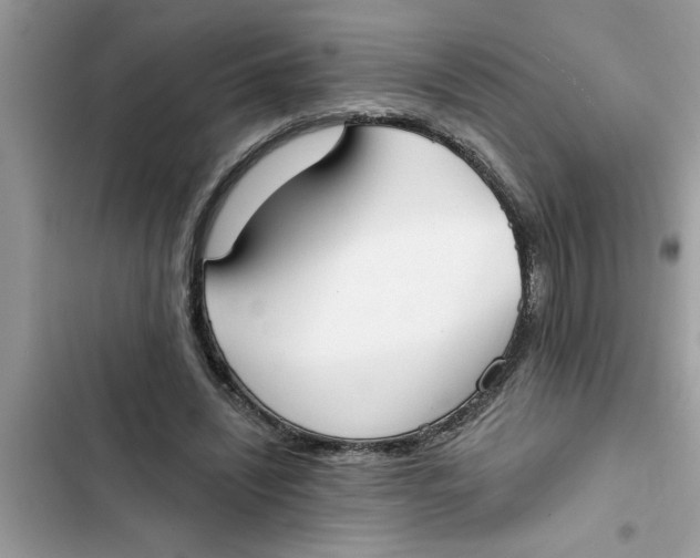 X0000103260444200809191722