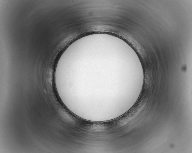 X0000103260445200809191722