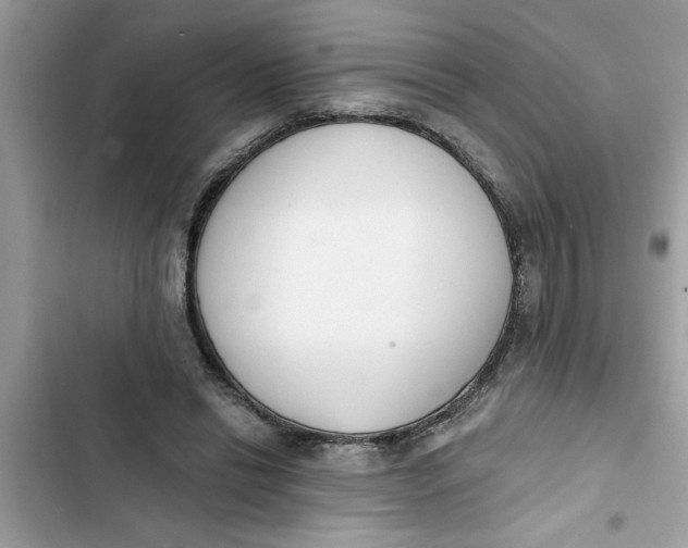 X0000103260446200809191722