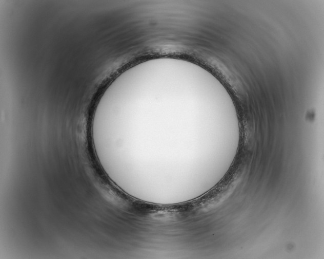 X0000103260447200809191722