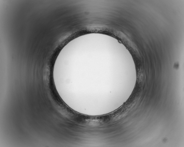 X0000103260448200809191722