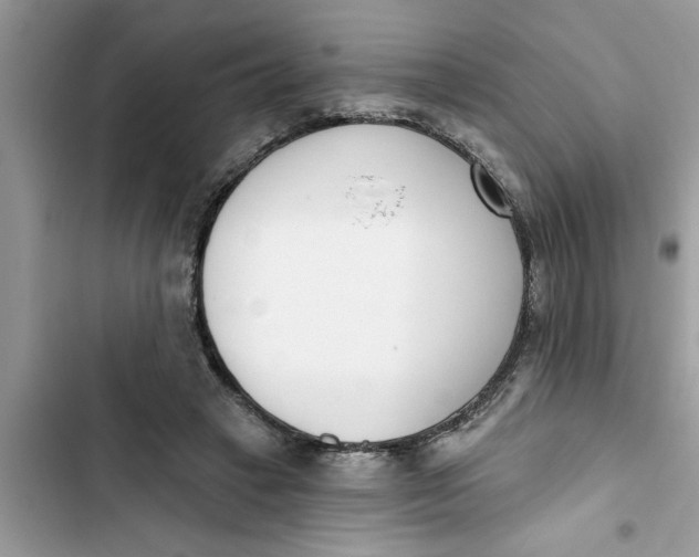 X0000103260449200809191722