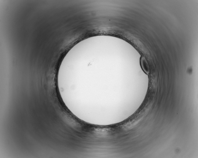 X0000103260450200809191722