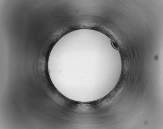 X0000103260451200809191722