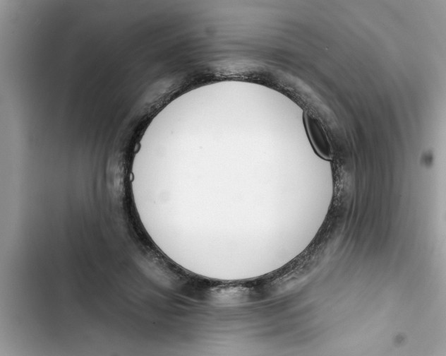 X0000103260452200809191722