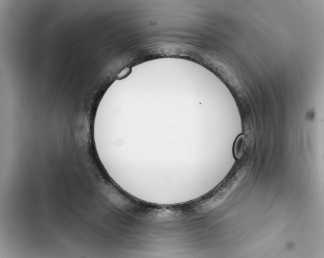 X0000103260453200809191722