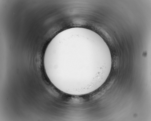 X0000103260455200809191722