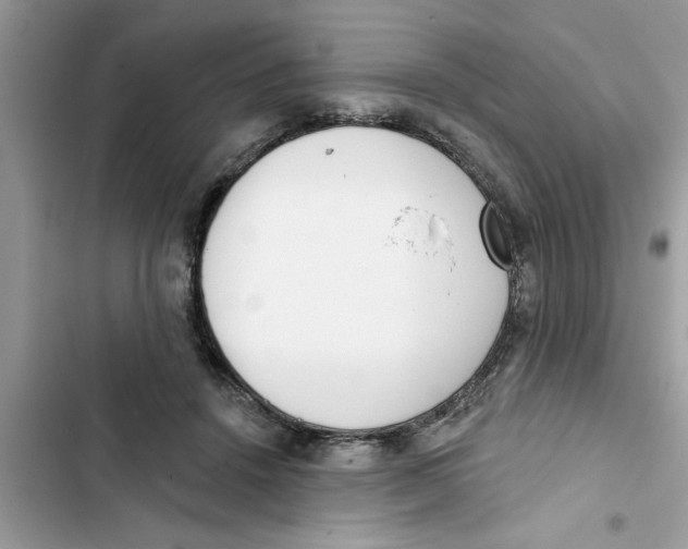 X0000103260456200809191722