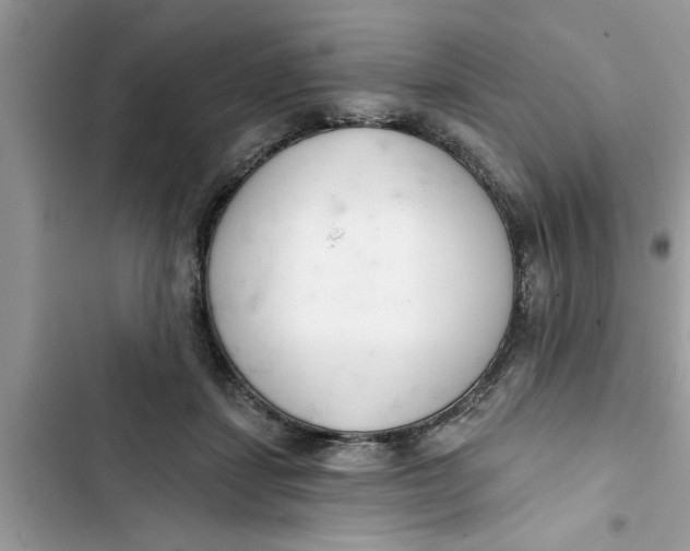 X0000103260459200809191722