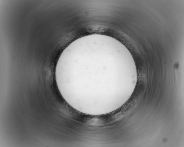 X0000103260460200809191722