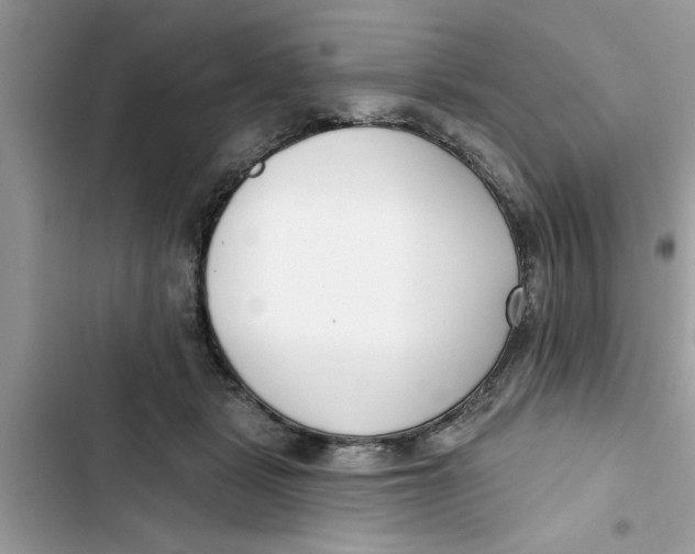 X0000103260461200809191722