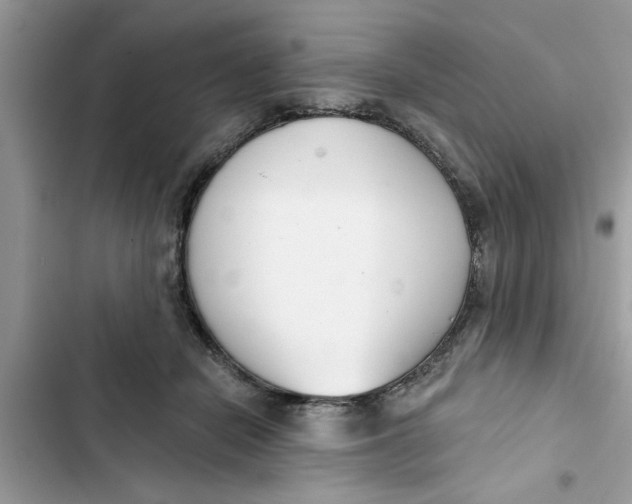 X0000103260462200809191722