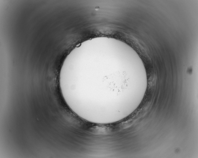 X0000103260464200809191722