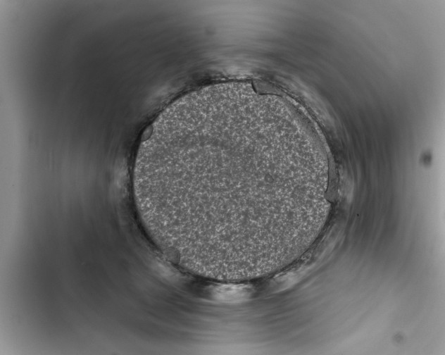 X0000103260465200809191722