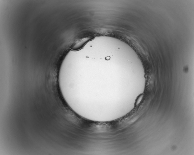 X0000103260466200809191723