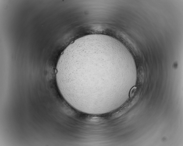 X0000103260467200809191723