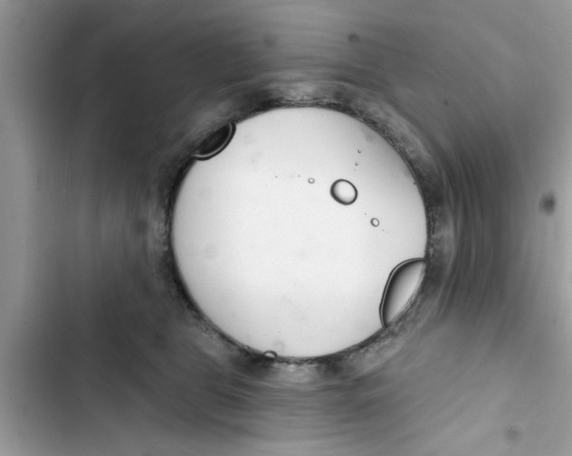 X0000103260469200809191723