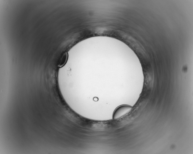 X0000103260470200809191723