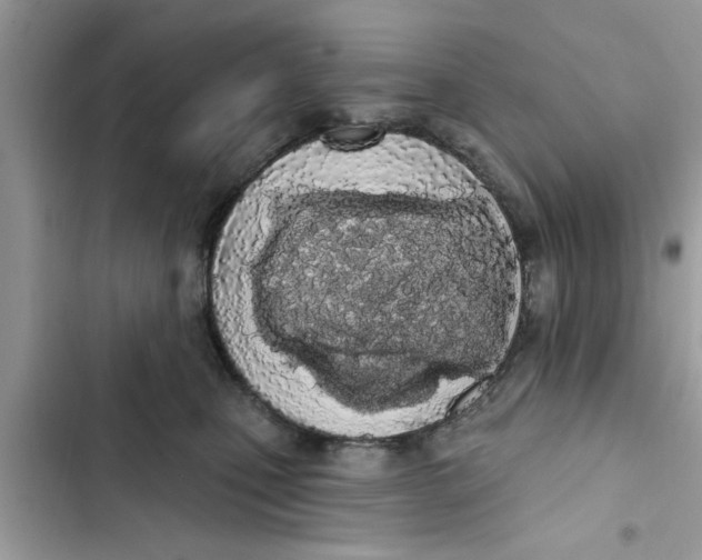 X0000103260471200809191723