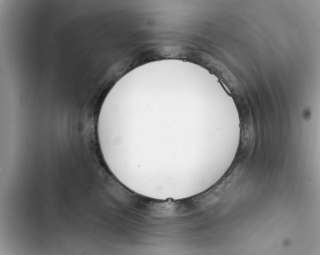 X0000103260473200809191723