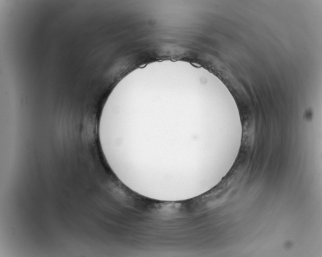 X0000103260474200809191723