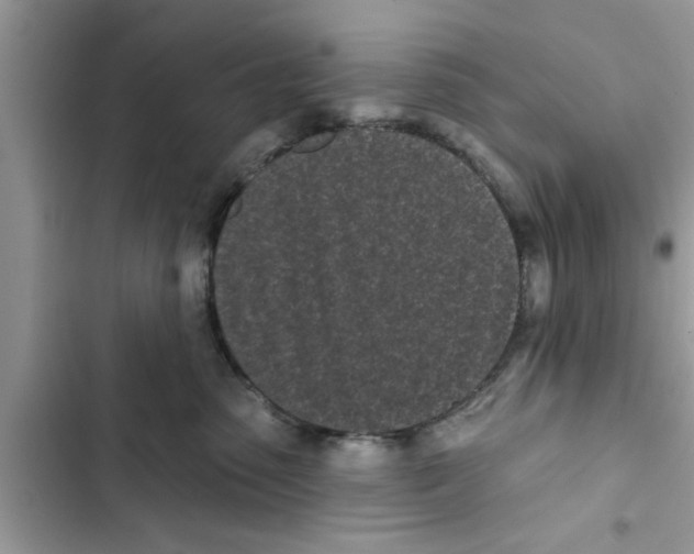 X0000103260475200809191723