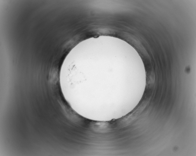 X0000103260478200809191723