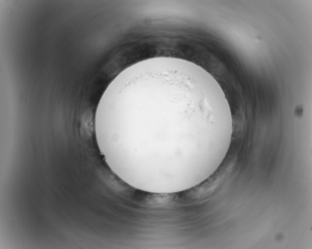 X0000103260479200809191723