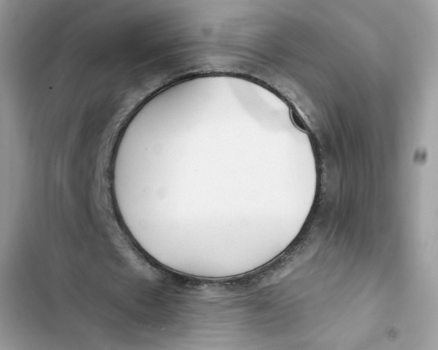 X0000103260481200809191722