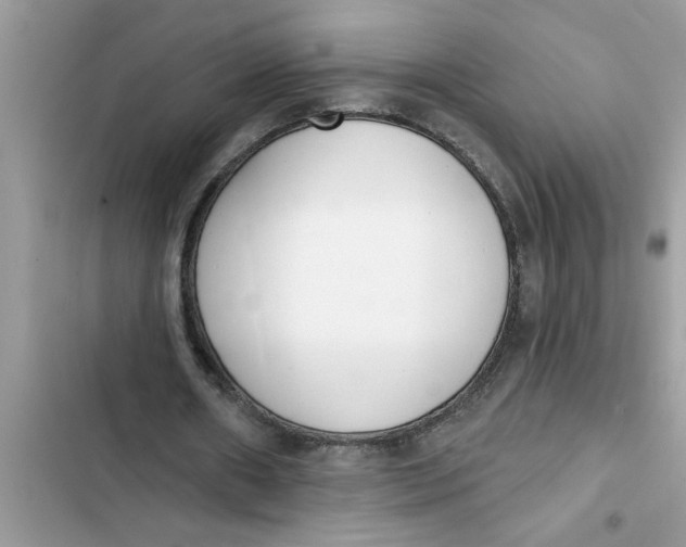 X0000103260482200809191722