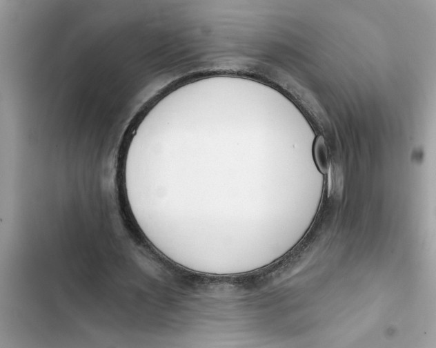 X0000103260483200809191722