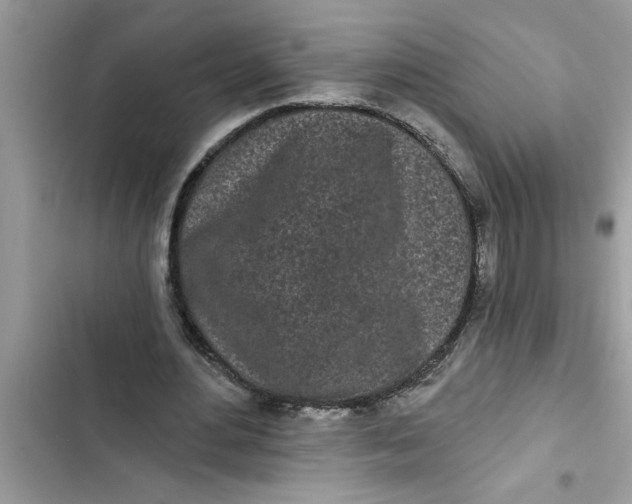 X0000103260484200809191722