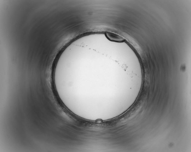 X0000103260485200809191722