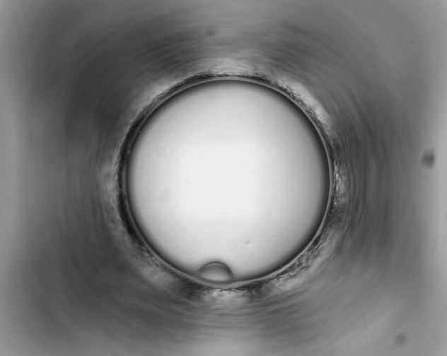 X0000103260487200809191722