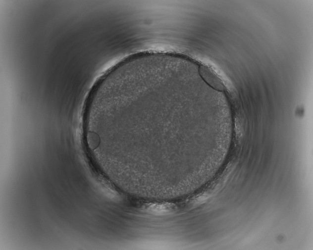 X0000103260488200809191722