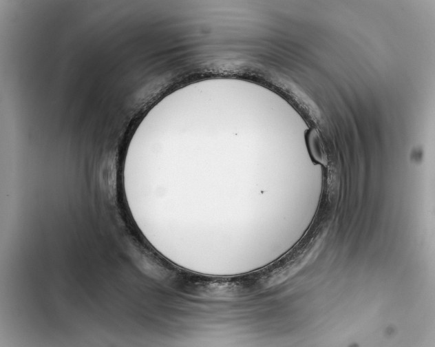 X0000103260493200809191722