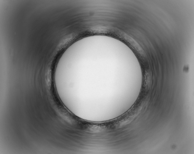 X0000103260494200809191722