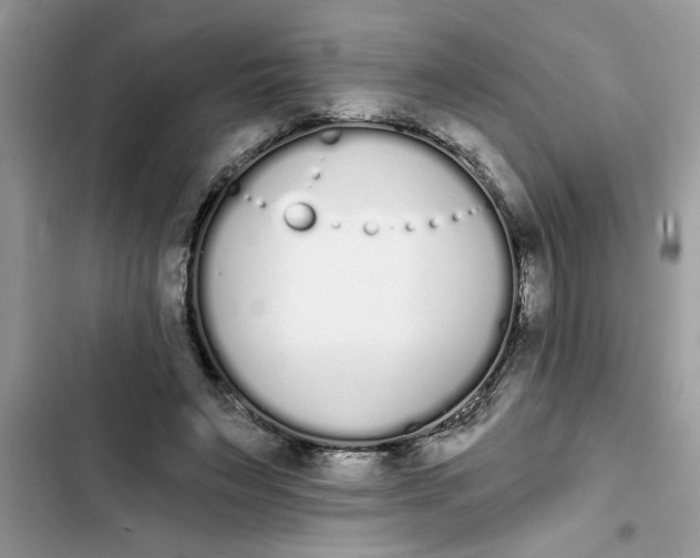 X0000103260495200809191722