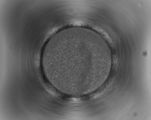 X0000103260496200809191722