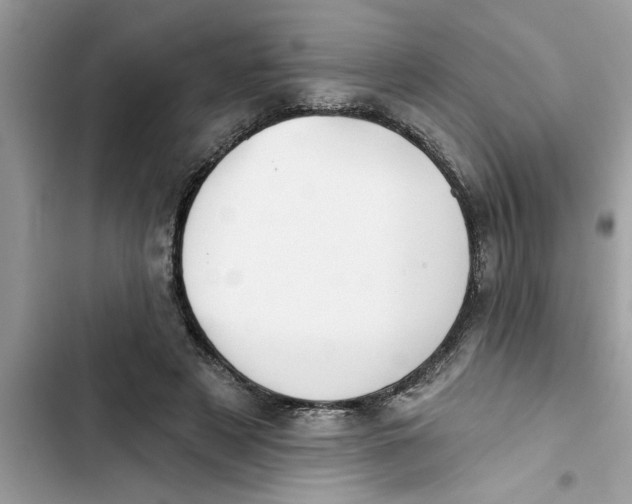 X0000103260497200809191722