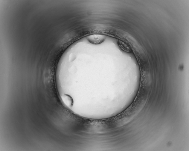 X0000103260499200809191722