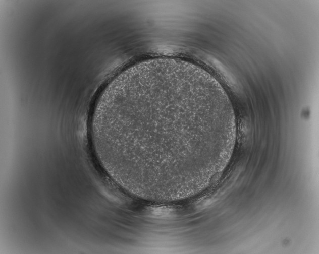 X0000103260500200809191722