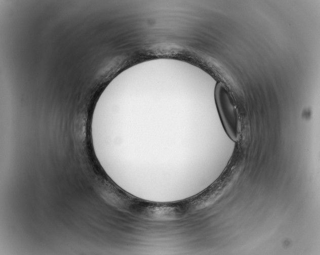 X0000103260501200809191722