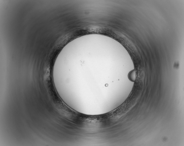 X0000103260502200809191722