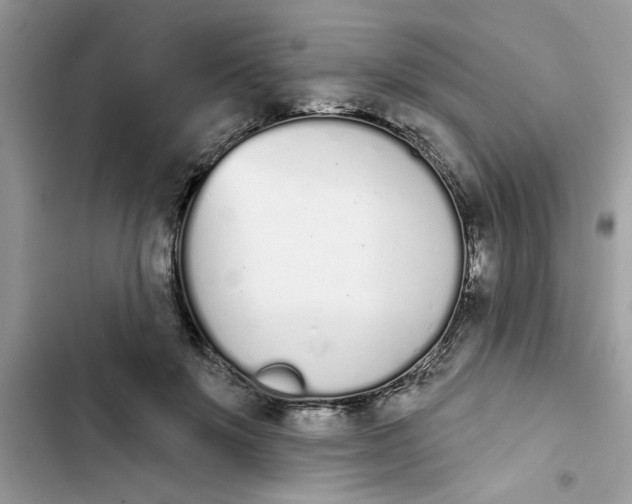 X0000103260503200809191722