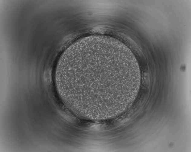 X0000103260504200809191722