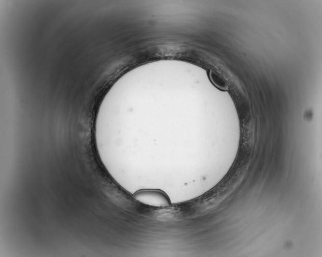 X0000103260505200809191722