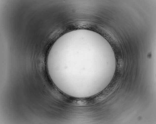 X0000103260506200809191721