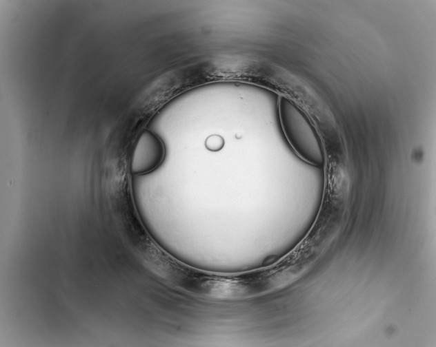 X0000103260507200809191721